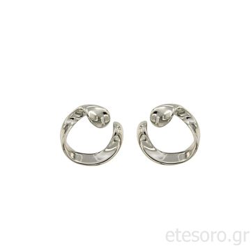Ασημένια σκουλαρίκια