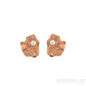 Ασημένια σκουλαρίκια