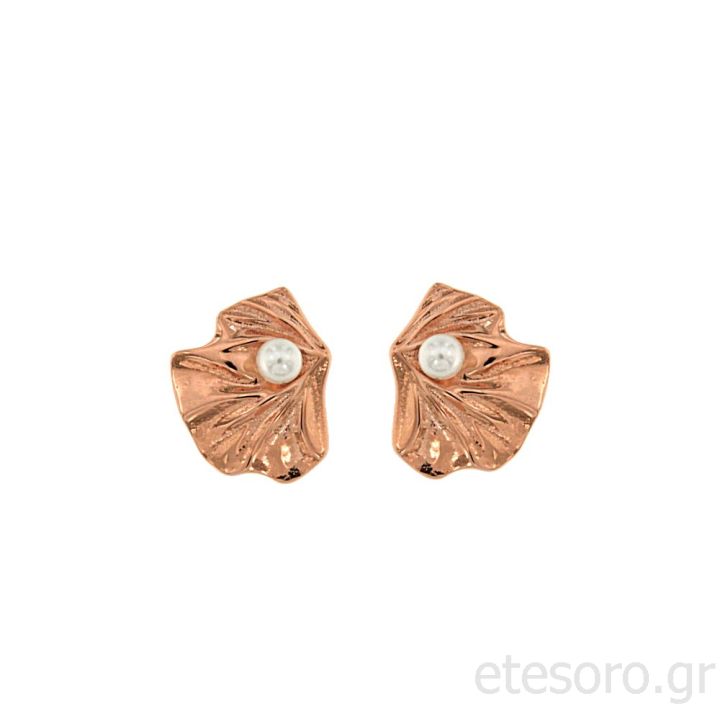 Ασημένια σκουλαρίκια