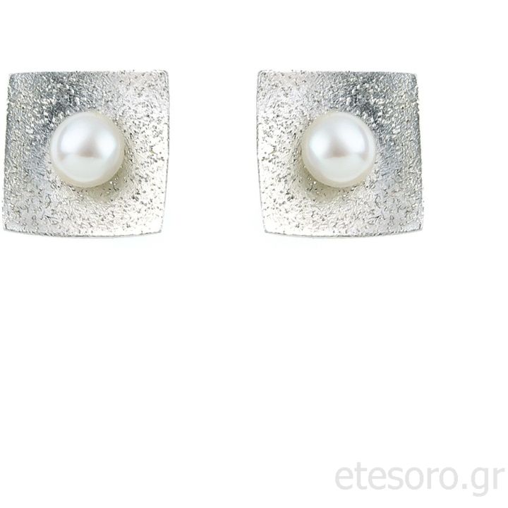 Silver and pearls Earrings 