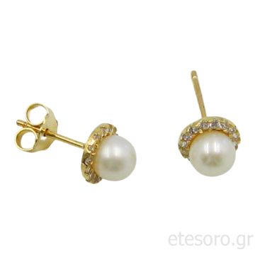 Χρυσά Σκουλαρίκια με Μαργαριτάρι και Ζιργκόν