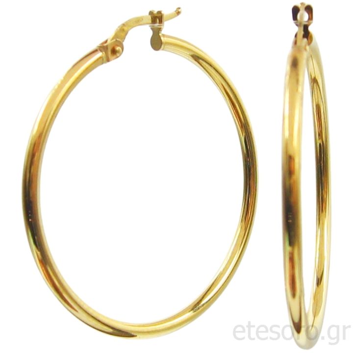 14K Gold Hoop Earrings Shiny